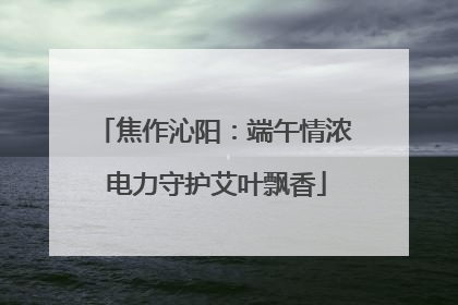 焦作沁阳：端午情浓 电力守护艾叶飘香