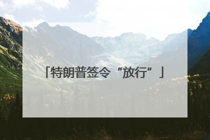 特朗普签令“放行”