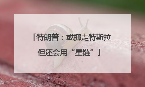 特朗普：或挪走特斯拉 但还会用“星链”