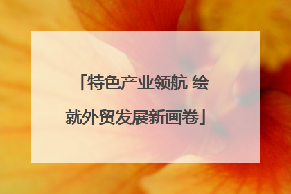 特色产业领航 绘就外贸发展新画卷