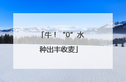 牛！“0”水种出丰收麦