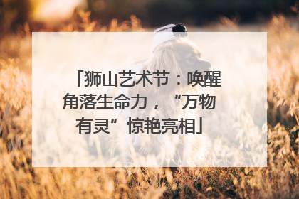 狮山艺术节：唤醒角落生命力，“万物有灵”惊艳亮相