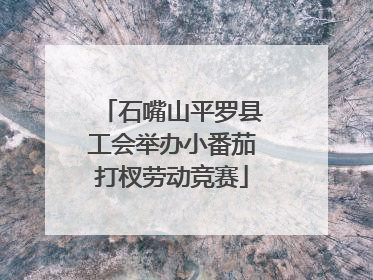 石嘴山平罗县工会举办小番茄打杈劳动竞赛