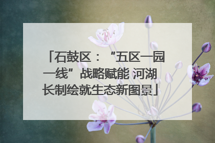 石鼓区：“五区一园一线”战略赋能 河湖长制绘就生态新图景