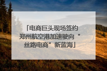 电商巨头现场签约 郑州航空港加速驶向“丝路电商”新蓝海