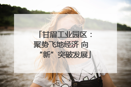 甘眉工业园区：聚势飞地经济 向“新”突破发展