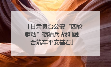甘肃灵台公安“四轮驱动”砺精兵 战训融合筑牢平安基石