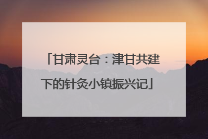 甘肃灵台：津甘共建下的针灸小镇振兴记