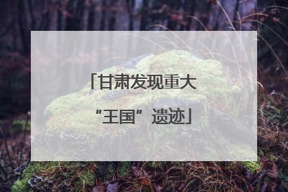 甘肃发现重大“王国”遗迹