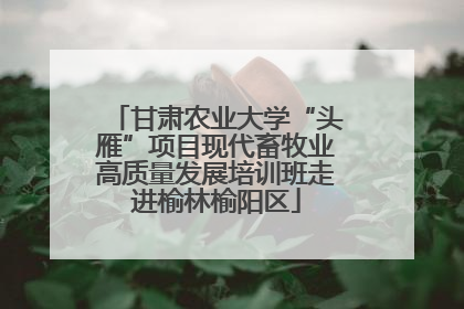甘肃农业大学“头雁”项目现代畜牧业高质量发展培训班走进榆林榆阳区