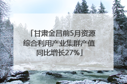 甘肃金昌前5月资源综合利用产业集群产值同比增长27%