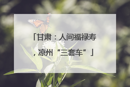 甘肃：人间福禄寿，凉州“三套车”