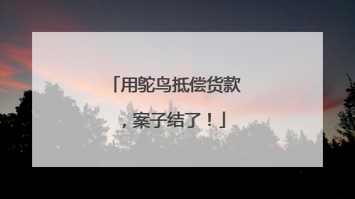 用鸵鸟抵偿货款，案子结了！