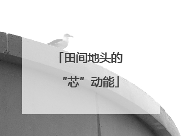 田间地头的“芯”动能