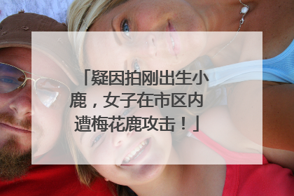 疑因拍刚出生小鹿，女子在市区内遭梅花鹿攻击！