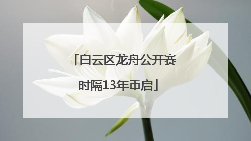 白云区龙舟公开赛时隔13年重启