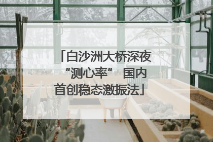 白沙洲大桥深夜“测心率” 国内首创稳态激振法