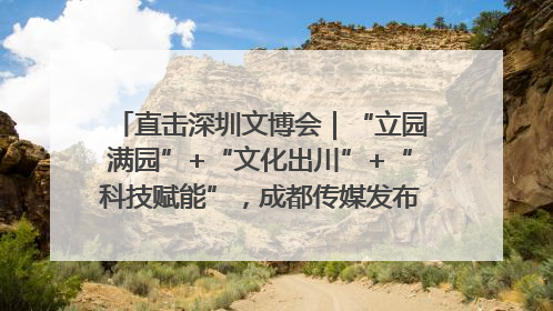 直击深圳文博会｜“立园满园”+“文化出川”+“科技赋能”，成都传媒发布三大文创领域合作清单