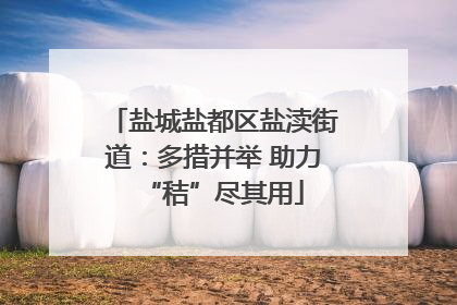盐城盐都区盐渎街道：多措并举 助力“秸”尽其用
