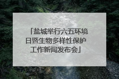 盐城举行六五环境日暨生物多样性保护工作新闻发布会