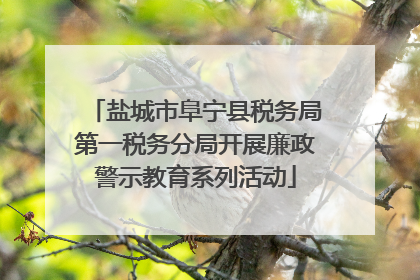 盐城市阜宁县税务局第一税务分局开展廉政警示教育系列活动