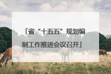 省“十五五”规划编制工作推进会议召开