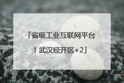 省级工业互联网平台！武汉经开区+2