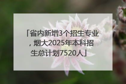 省内新增3个招生专业，烟大2025年本科招生总计划7520人
