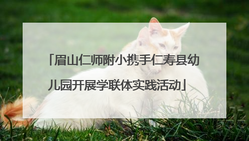 眉山仁师附小携手仁寿县幼儿园开展学联体实践活动