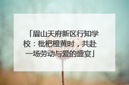 眉山天府新区行知学校：枇杷橙黄时，共赴一场劳动与爱的盛宴
