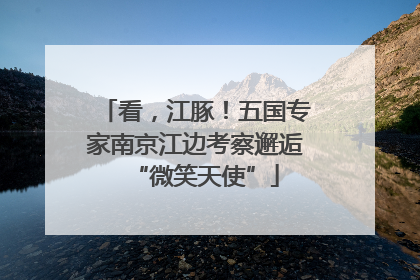 看，江豚！五国专家南京江边考察邂逅“微笑天使”