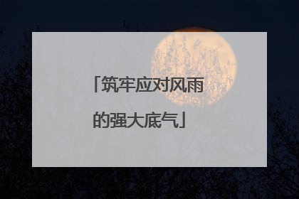 筑牢应对风雨的强大底气