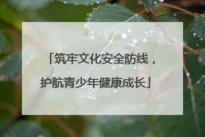 筑牢文化安全防线，护航青少年健康成长