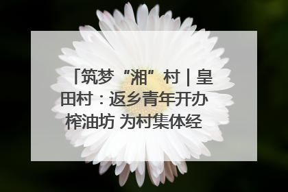 筑梦“湘”村｜皇田村：返乡青年开办榨油坊 为村集体经济“加油”