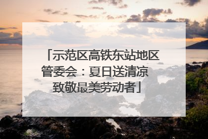 示范区高铁东站地区管委会：夏日送清凉 致敬最美劳动者
