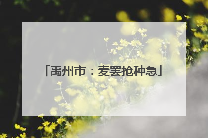 禹州市：麦罢抢种急