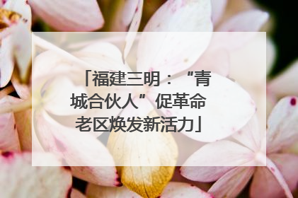 福建三明：“青城合伙人”促革命老区焕发新活力