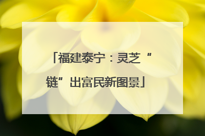 福建泰宁：灵芝“链”出富民新图景