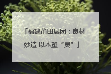 福建莆田展团：良材妙造 以木塑“灵”