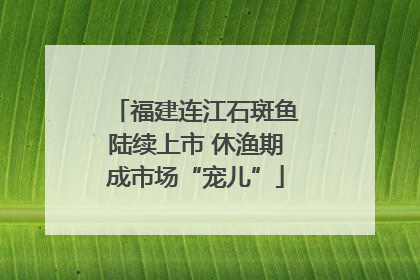 福建连江石斑鱼陆续上市 休渔期成市场“宠儿”