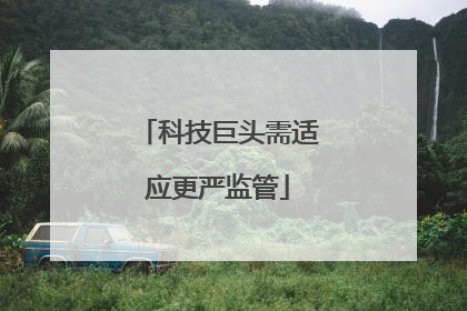 科技巨头需适应更严监管