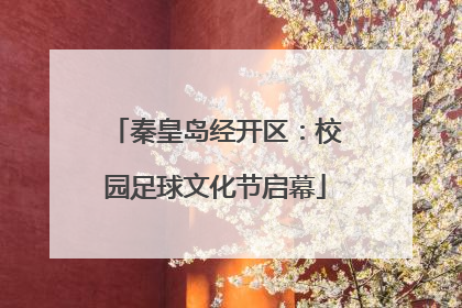秦皇岛经开区：校园足球文化节启幕