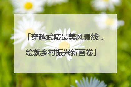 穿越武陵最美风景线，绘就乡村振兴新画卷