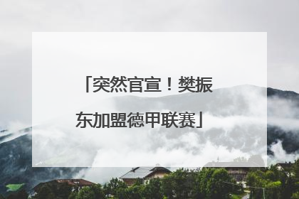 突然官宣！樊振东加盟德甲联赛