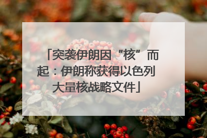 突袭伊朗因“核”而起：伊朗称获得以色列大量核战略文件