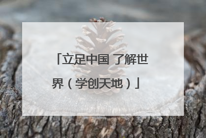 立足中国 了解世界（学创天地）