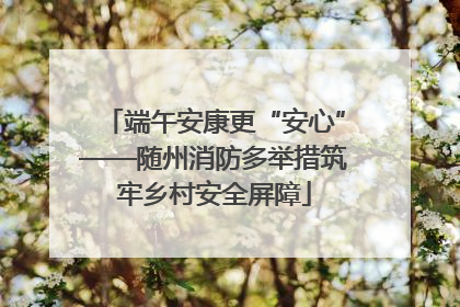 端午安康更“安心”——随州消防多举措筑牢乡村安全屏障