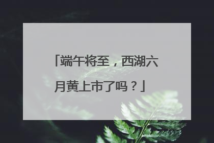 端午将至，西湖六月黄上市了吗？
