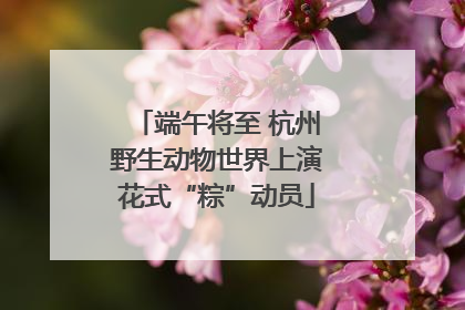 端午将至 杭州野生动物世界上演花式“粽”动员