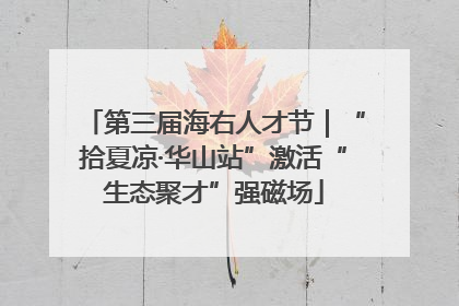 第三届海右人才节｜“拾夏凉·华山站”激活“生态聚才”强磁场